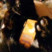 ヒメ日記 2025/12/15 05:45 投稿 えいる 海上空天 SHANGHAI HEAVEN