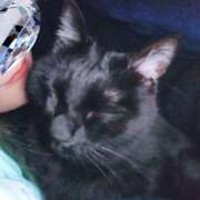 ヒメ日記 2025/12/27 05:37 投稿 えいる 海上空天 SHANGHAI HEAVEN