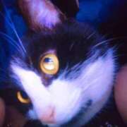 ヒメ日記 2026/01/19 06:00 投稿 えいる 海上空天 SHANGHAI HEAVEN