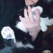 ヒメ日記 2026/01/24 22:32 投稿 えいる 海上空天 SHANGHAI HEAVEN