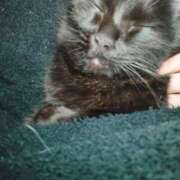 ヒメ日記 2026/01/25 07:06 投稿 えいる 海上空天 SHANGHAI HEAVEN