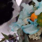 ヒメ日記 2026/01/26 11:58 投稿 えいる 海上空天 SHANGHAI HEAVEN