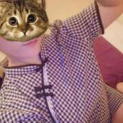 ヒメ日記 2026/02/06 07:15 投稿 えいる 海上空天 SHANGHAI HEAVEN