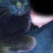 ヒメ日記 2026/02/11 21:46 投稿 えいる 海上空天 SHANGHAI HEAVEN