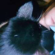 ヒメ日記 2026/02/15 05:15 投稿 えいる 海上空天 SHANGHAI HEAVEN