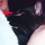 ヒメ日記 2026/02/15 06:45 投稿 えいる 海上空天 SHANGHAI HEAVEN