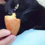 ヒメ日記 2026/02/18 07:30 投稿 えいる 海上空天 SHANGHAI HEAVEN