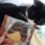 ヒメ日記 2026/02/19 14:15 投稿 えいる 海上空天 SHANGHAI HEAVEN