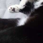 ヒメ日記 2026/02/28 21:14 投稿 えいる 海上空天 SHANGHAI HEAVEN