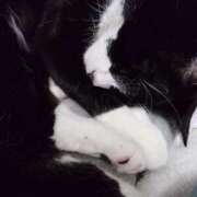 ヒメ日記 2026/03/16 21:15 投稿 えいる 海上空天 SHANGHAI HEAVEN