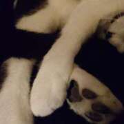 ヒメ日記 2026/03/23 22:31 投稿 えいる 海上空天 SHANGHAI HEAVEN