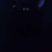 ヒメ日記 2026/03/25 11:00 投稿 えいる 海上空天 SHANGHAI HEAVEN