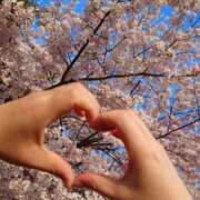 ヒメ日記 2026/04/05 08:30 投稿 えいる 海上空天 SHANGHAI HEAVEN