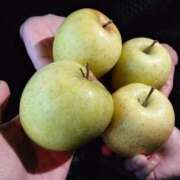 ヒメ日記 2026/04/10 08:12 投稿 えいる 海上空天 SHANGHAI HEAVEN