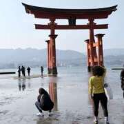 ヒメ日記 2026/01/18 12:09 投稿 えな 一夜妻