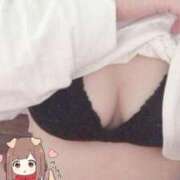 ヒメ日記 2026/07/14 09:09 投稿 堀江 なこ 30代40代50代と遊ぶなら博多人妻専科24時