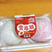 ヒメ日記 2025/12/28 12:12 投稿 りく 桜フェアリーテイル