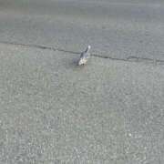 ヒメ日記 2025/02/01 14:01 投稿 にじか TALENT（タレント）