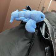 ヒメ日記 2025/02/17 16:07 投稿 にじか TALENT（タレント）