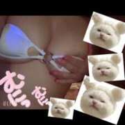 ヒメ日記 2025/03/01 08:02 投稿 にじか TALENT（タレント）