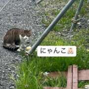 ヒメ日記 2025/04/02 18:03 投稿 にじか TALENT（タレント）