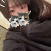 ヒメ日記 2025/04/06 02:42 投稿 にじか TALENT（タレント）