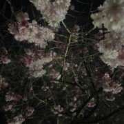 ヒメ日記 2025/04/07 03:29 投稿 にじか TALENT（タレント）