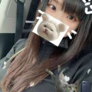 ヒメ日記 2025/09/11 11:45 投稿 にじか TALENT（タレント）