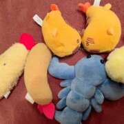 ヒメ日記 2025/09/16 16:33 投稿 にじか TALENT（タレント）