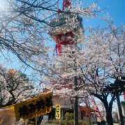 ヒメ日記 2026/04/03 15:37 投稿 にじか TALENT（タレント）