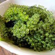 ヒメ日記 2026/04/14 14:32 投稿 にじか TALENT（タレント）