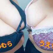 ヒメ日記 2025/01/15 19:54 投稿 澤村～SAWAMURA～ BBW名古屋店