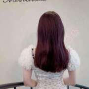 ヒメ日記 2025/05/24 23:33 投稿 つばき 一力茶屋