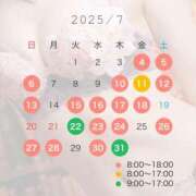 ヒメ日記 2025/07/02 10:43 投稿 つばき 一力茶屋