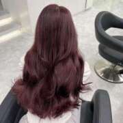 ヒメ日記 2025/10/31 23:43 投稿 つばき 一力茶屋