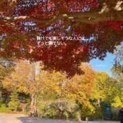 ヒメ日記 2025/11/05 23:13 投稿 つばき 一力茶屋