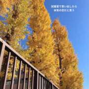 ヒメ日記 2025/12/01 23:43 投稿 つばき 一力茶屋