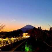 つばき 3月出勤🩷 ̖́- 一力茶屋