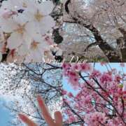 つばき 𝕋𝕙𝕒𝕟𝕜 𝕪𝕠𝕦 🌸" 一力茶屋