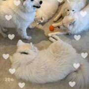 ヒメ日記 2025/03/18 23:37 投稿 咲乃/さきの ANEJE～アネージュ池袋～(ユメオト)