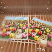 ヒメ日記 2025/05/11 23:30 投稿 咲乃/さきの ANEJE～アネージュ池袋～(ユメオト)