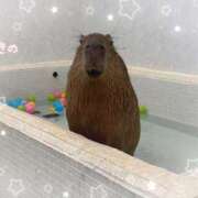 ヒメ日記 2025/06/06 09:21 投稿 咲乃/さきの ANEJE～アネージュ池袋～(ユメオト)