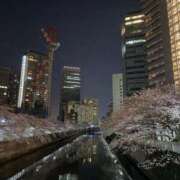 つばき 18時から Felice(フェリス)