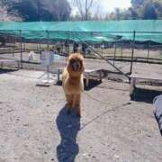 ヒメ日記 2025/03/27 17:02 投稿 みお Felice(フェリス)