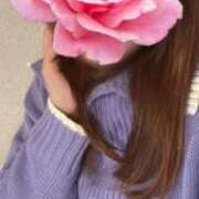 ヒメ日記 2025/03/31 16:30 投稿 みお Felice(フェリス)