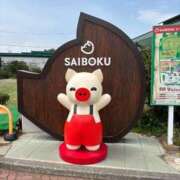 ヒメ日記 2025/05/12 14:50 投稿 みお Felice(フェリス)