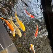 ヒメ日記 2025/11/14 16:07 投稿 みお Felice(フェリス)