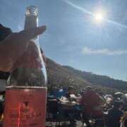 ヒメ日記 2025/11/17 13:51 投稿 みお Felice(フェリス)