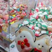 ヒメ日記 2025/12/26 17:12 投稿 みお Felice(フェリス)