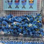 ヒメ日記 2026/02/16 16:39 投稿 みお Felice(フェリス)